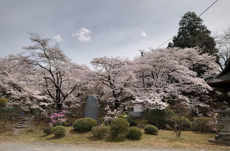 の投稿画像3枚目