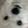 ユーザー