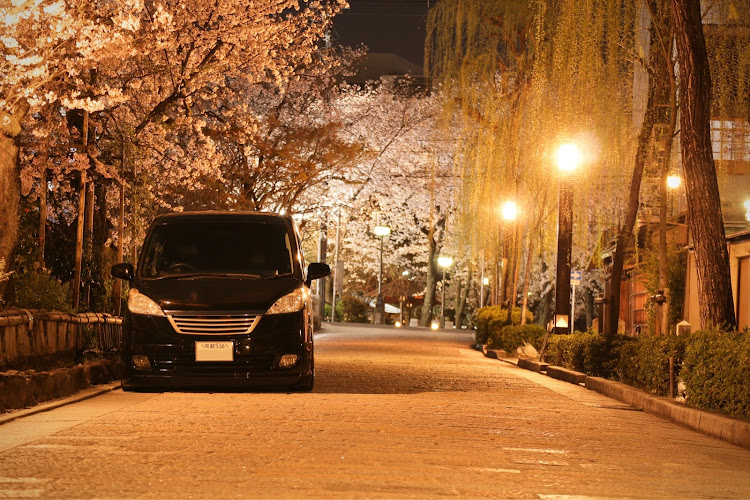 ステップワゴンの京都・桜・夜間撮影・一眼レフ練習・一眼レフ初心者に関するカスタム事例の投稿画像4枚目