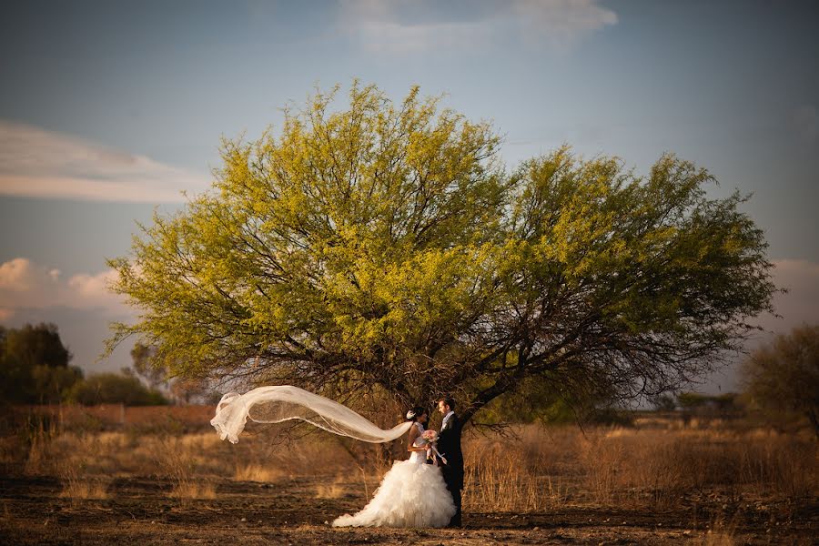 Hochzeitsfotograf Odin Castillo (odincastillo). Foto vom 21. Januar 2016