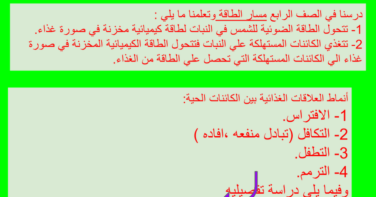 15 العلاقات الغذائية بين الكائنات الحية الصف الخامس الابتدائي