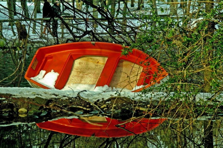 Riflesso di acquario