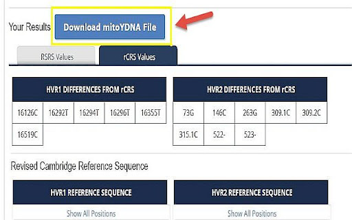 mitoYDNA File