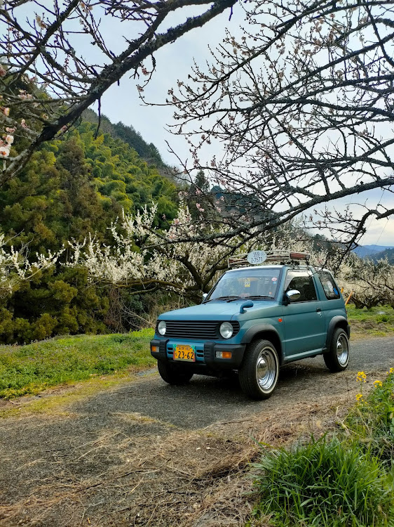 パジェロミニのパジェロミニのある生活・梅の花・菜の花・愛媛散歩に関するカスタム事例の投稿画像4枚目