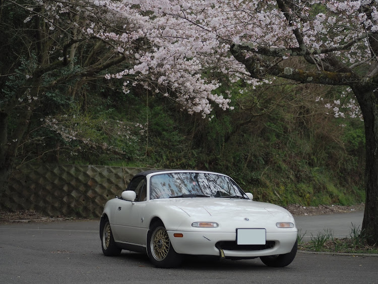 ロードスターのNAロードスター・ロードスター ・Roadster・NA8C・桜に関するカスタム事例の投稿画像1枚目