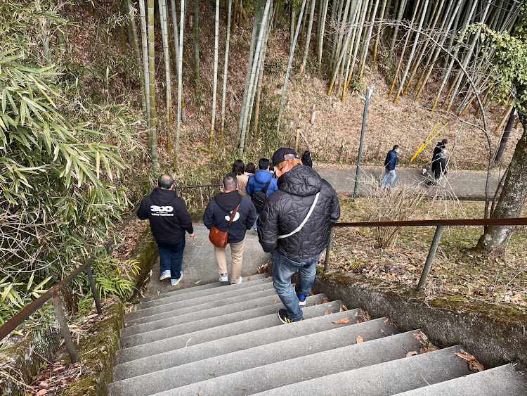 の投稿画像11枚目