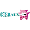 Big Straw - Chew On This, HAL 2nd Stage, Indiranagar, Bangalore logo