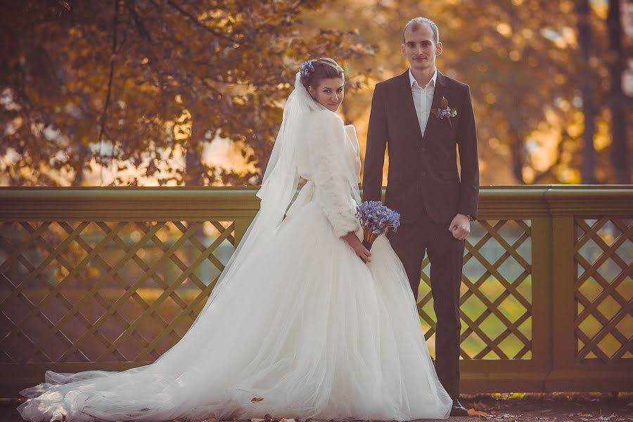 Wedding photographer Alina Nolken (alinovna). Photo of 25 October 2014