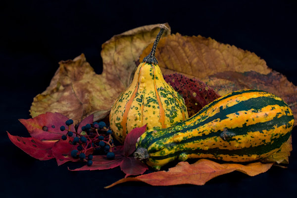 Celebrare Mabon di Barbara Surimi