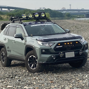 RAV4 MXAA54