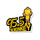 Download 95.5 The Monkey Radio For PC Windows and Mac 1.0