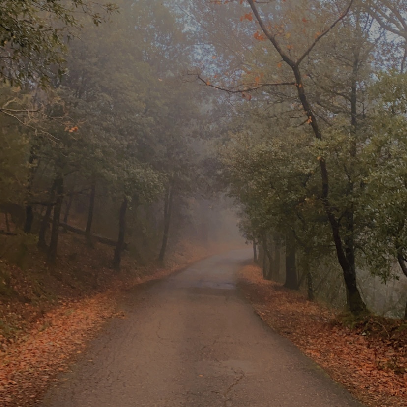 Passeggiata autunnale  di ele1911