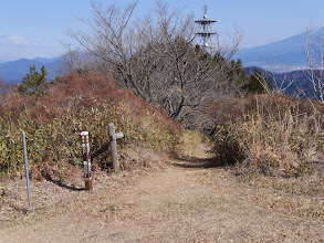 ここから下山