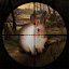 Classical Rabbit Hunting Game New Tab