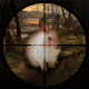 Classical Rabbit Hunting Game New Tab