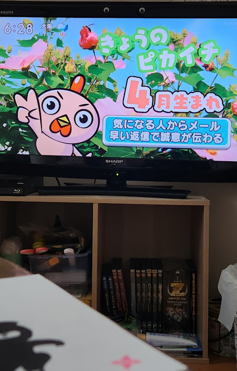 箱 さんが投稿した車とは関係ない投稿申し訳ございません・いいね&コメントいつもありがとうございます・セカンドカー欲しい･･･🥺に関するカスタム事例の投稿画像6枚目