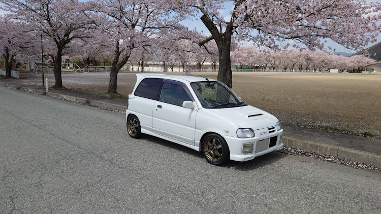ダッチさんが投稿した桜とコラボに関するカスタム事例の投稿画像2枚目