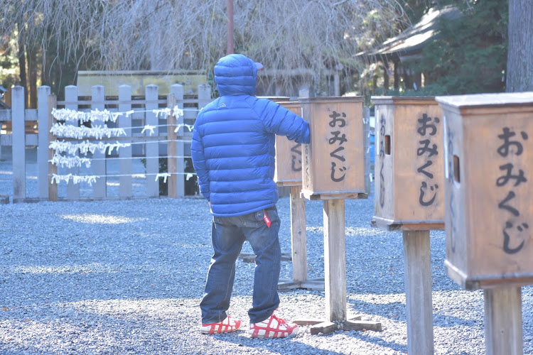 の投稿画像17枚目