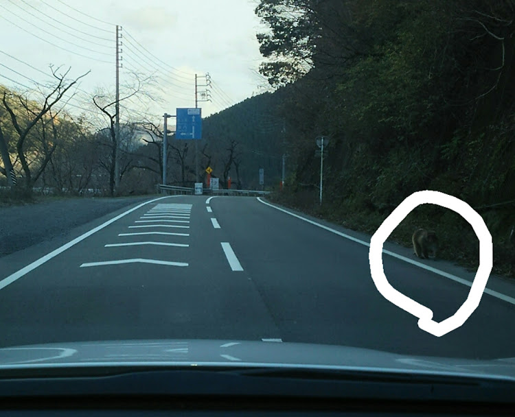 フォレスターのドライブに関するカスタム事例の投稿画像1枚目