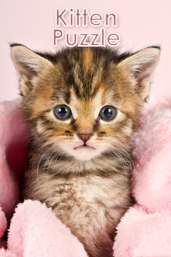 Kitten Puzzle HD