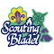 Item logo image for Scouting Bladel SponsorKliks