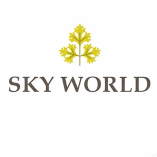 ﻿SKY WORLD