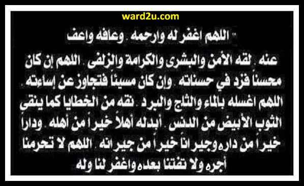 منتديات ورد للفنون التشكيلية