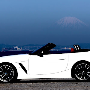 Z4 ロードスター G29