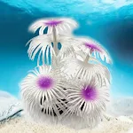 9.5cmx10cm White