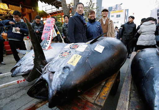 零細漁業は廃業しろと？大手を優遇する「水産庁の漁獲枠設定」が日本食文化を破壊する【生田よしかつ】