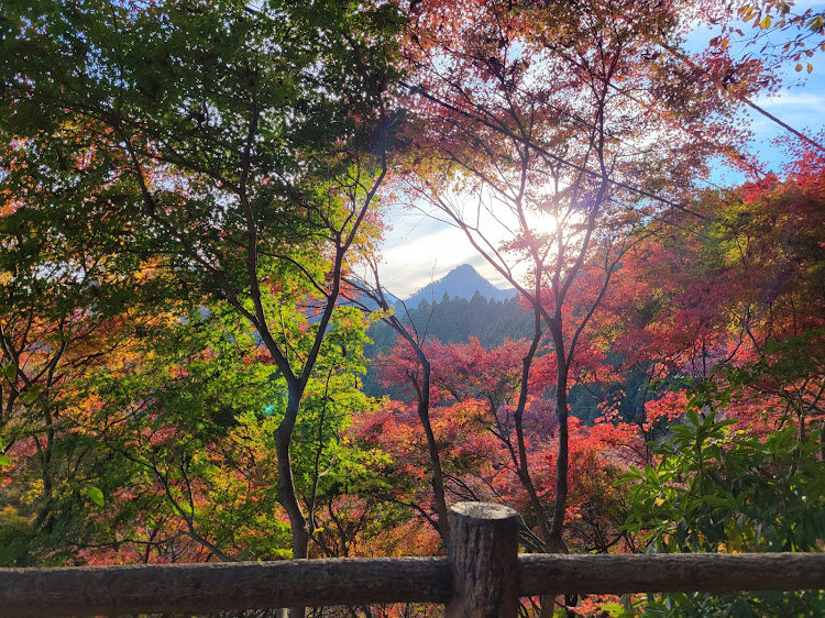 カローラスポーツの奥多摩・秋を満喫・天空の神社・一年の御礼まいり・見てくれてありがとう♪に関するカスタム事例の投稿画像31枚目