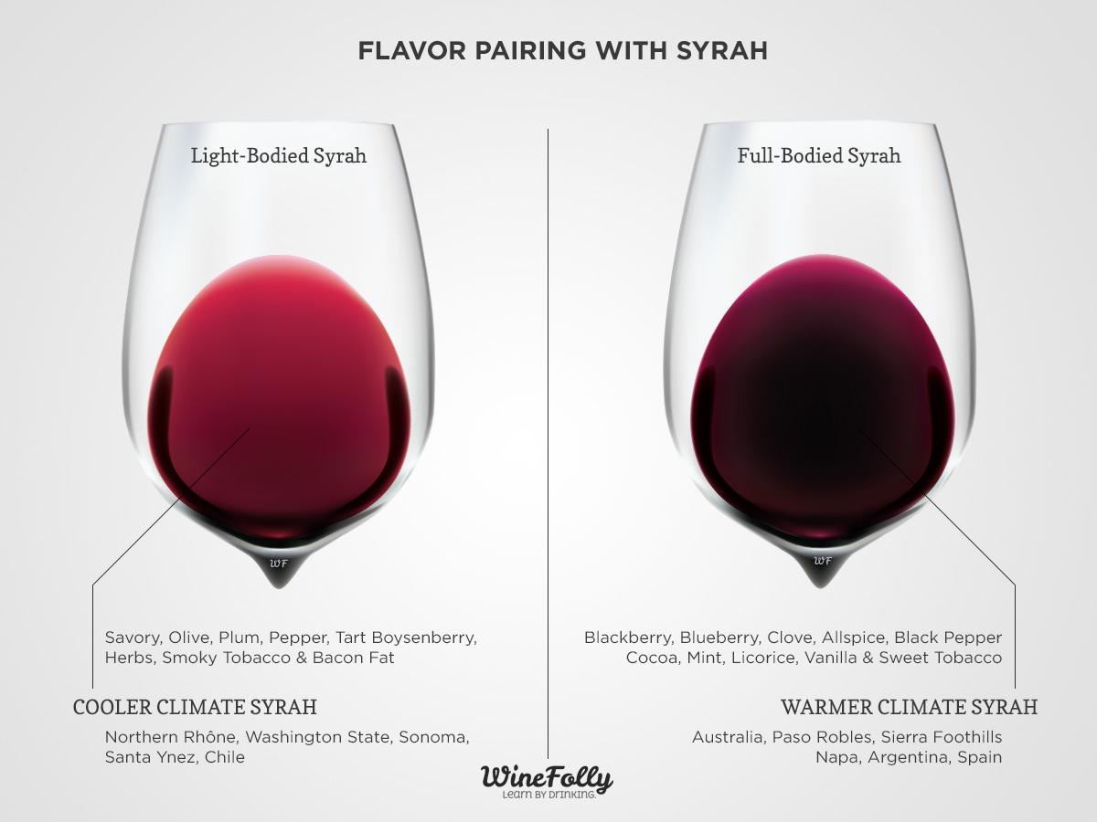 Diagram of Flavors and Taste of Syrah Wine Pairing