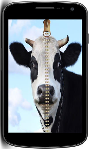 Cow Zipper Screen Lock