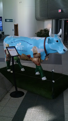 Winona Cow