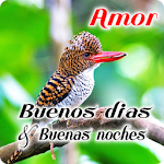 Cover Image of ダウンロード Spanish Good Morning & Good Night Wishes Love 7.10.8.2 APK