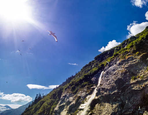 7 WP_20150805_17_24_19_Raw__highres.jpg - Seabirds wheel above the cliffs before diving for food, their young cheeping from nests etched onto the rock face