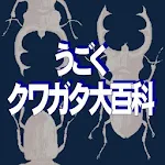 Cover Image of Unduh クワガタ～うごくクイズで学ぶ～ 1.0.0 APK