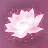 Lotus Digital icon