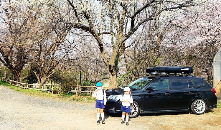 カローラフィールダーの桜・長男・幼稚園最後・４月から小学生・頑張れ！に関するカスタム事例の投稿画像2枚目
