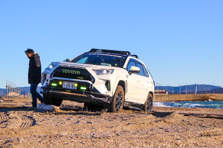 RAV4のRAV4・RAV4PHV・ミミちゃんツアー・素敵な写真ありがとうに関するカスタム事例の投稿画像2枚目