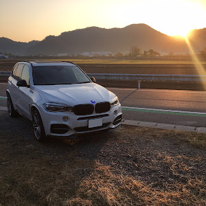 X5 F15