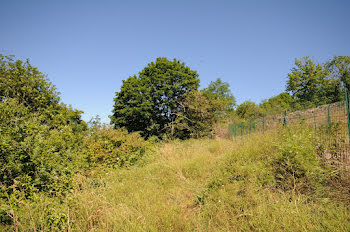 terrain à Lentilly (69)