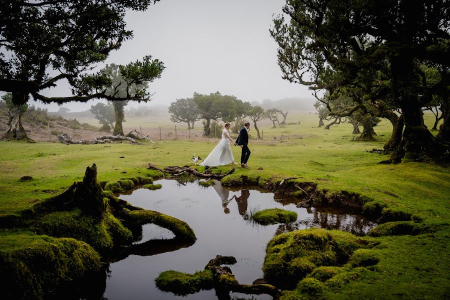 Fotógrafo de casamento Miguel Ponte (cmiguelponte). Foto de 5 de junho 2022