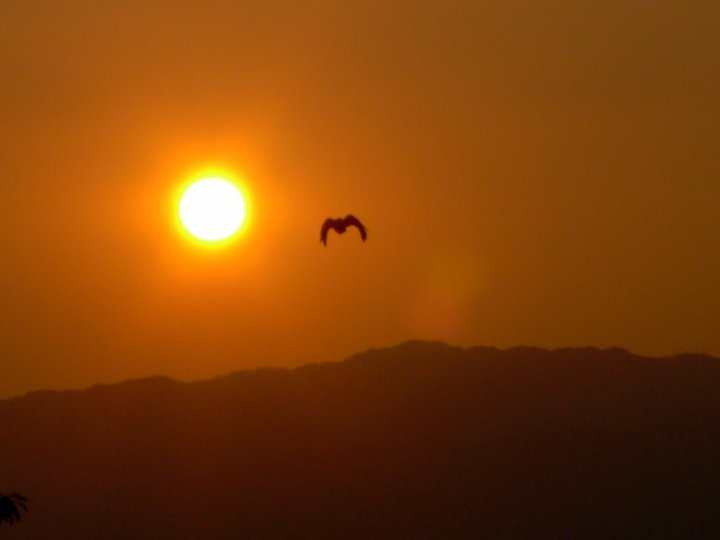 Volando su Kyoto di himmelfoto