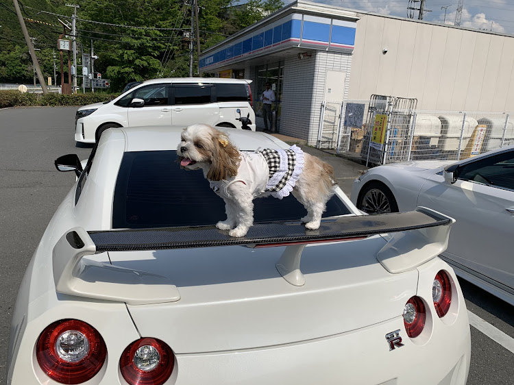 LSのプチオフ会・ドライブ・プリン・南山城村・アイスクリームに関するカスタム事例の投稿画像3枚目