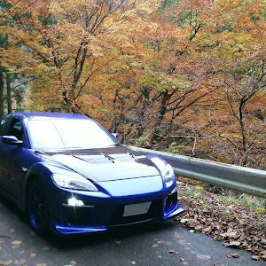 RX-8 SE3P