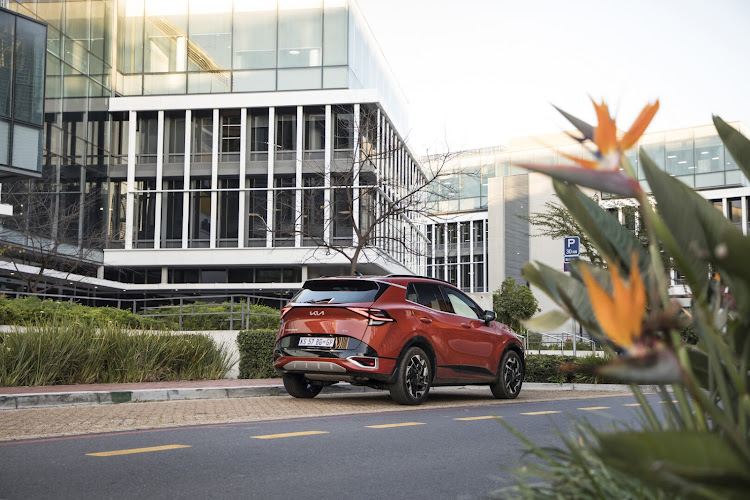 No confusing it with anything else in the Kia sport-utility vehicle range.