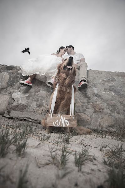 Fotografo di matrimoni Diego Armando Palomera Mojica (diegopal). Foto del 14 giugno 2017