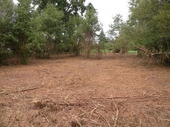 terrain à Reignac (33)