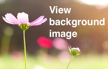 View Background Image Preview image 0